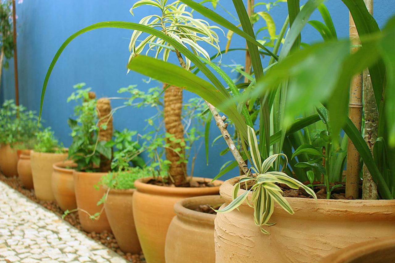 Green 53 Boutique Hotel Ilhéus Екстериор снимка